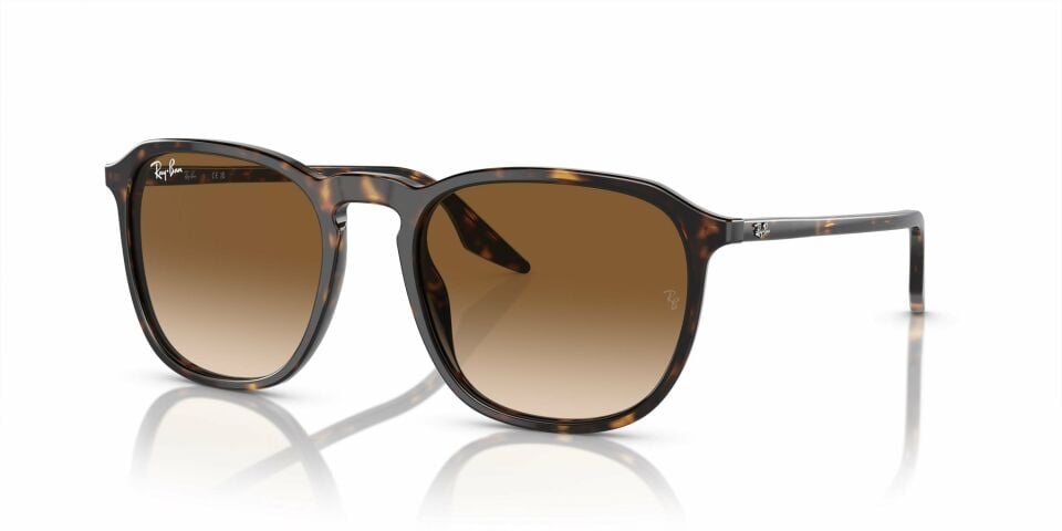 RAY-BAN 0RB2203 902-51 Unisex Güneş Gözlüğü