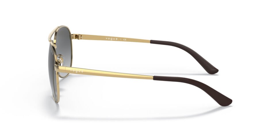 VOGUE VO3991SI 280-11 Unisex Güneş Gözlüğü