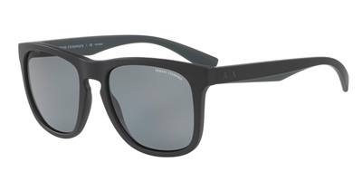 ARMANI EXCHANGE 0AX4058S 819981 55