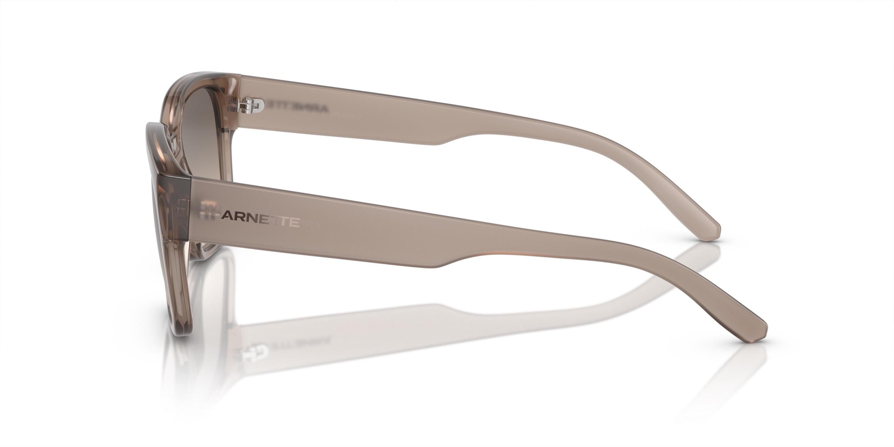 ARNETTE 0AN4325 290613 54