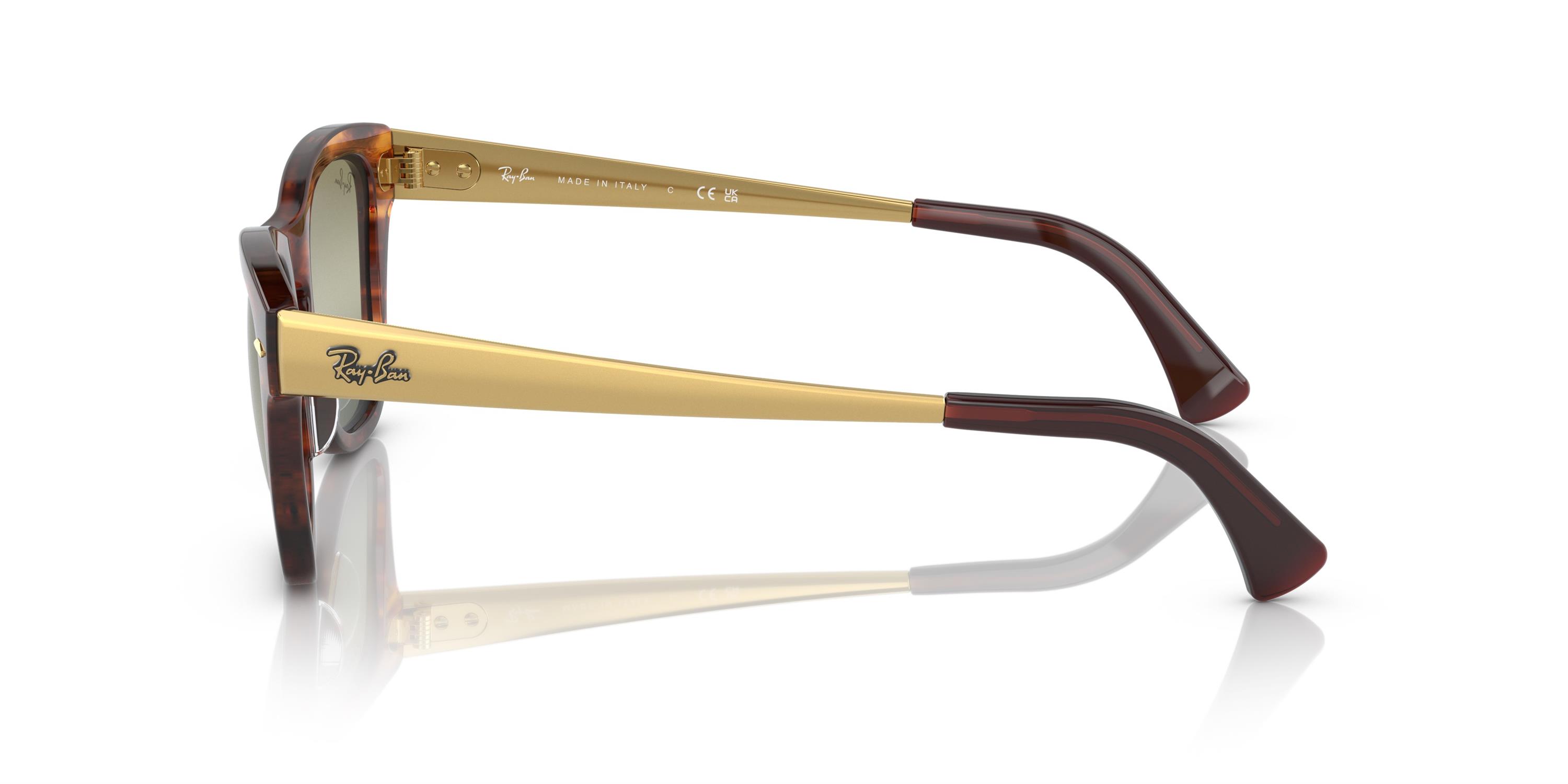 RAY-BAN 0RB0707SM 954-G4 53