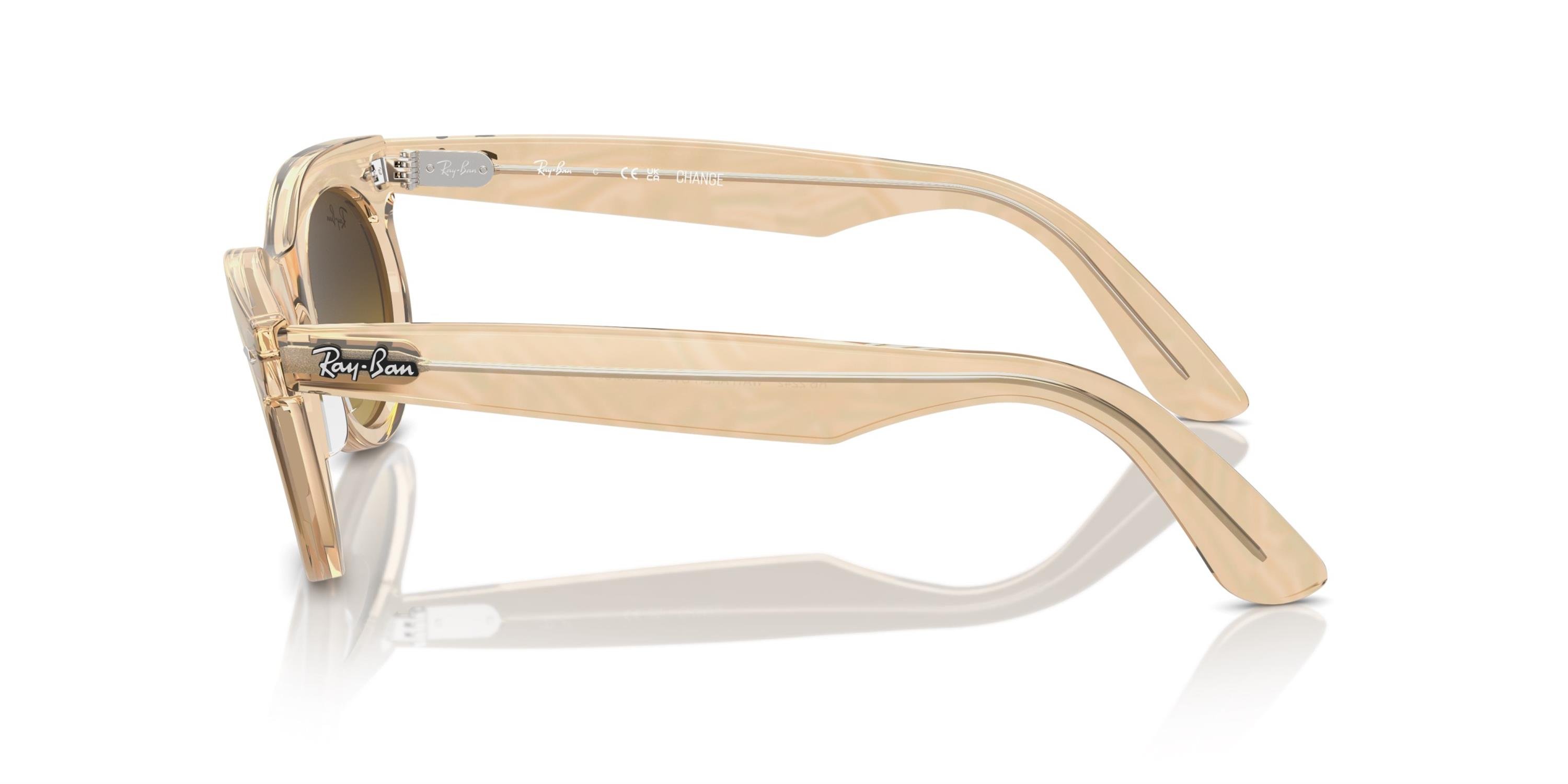 RAY-BAN 0RB2242 138685 53