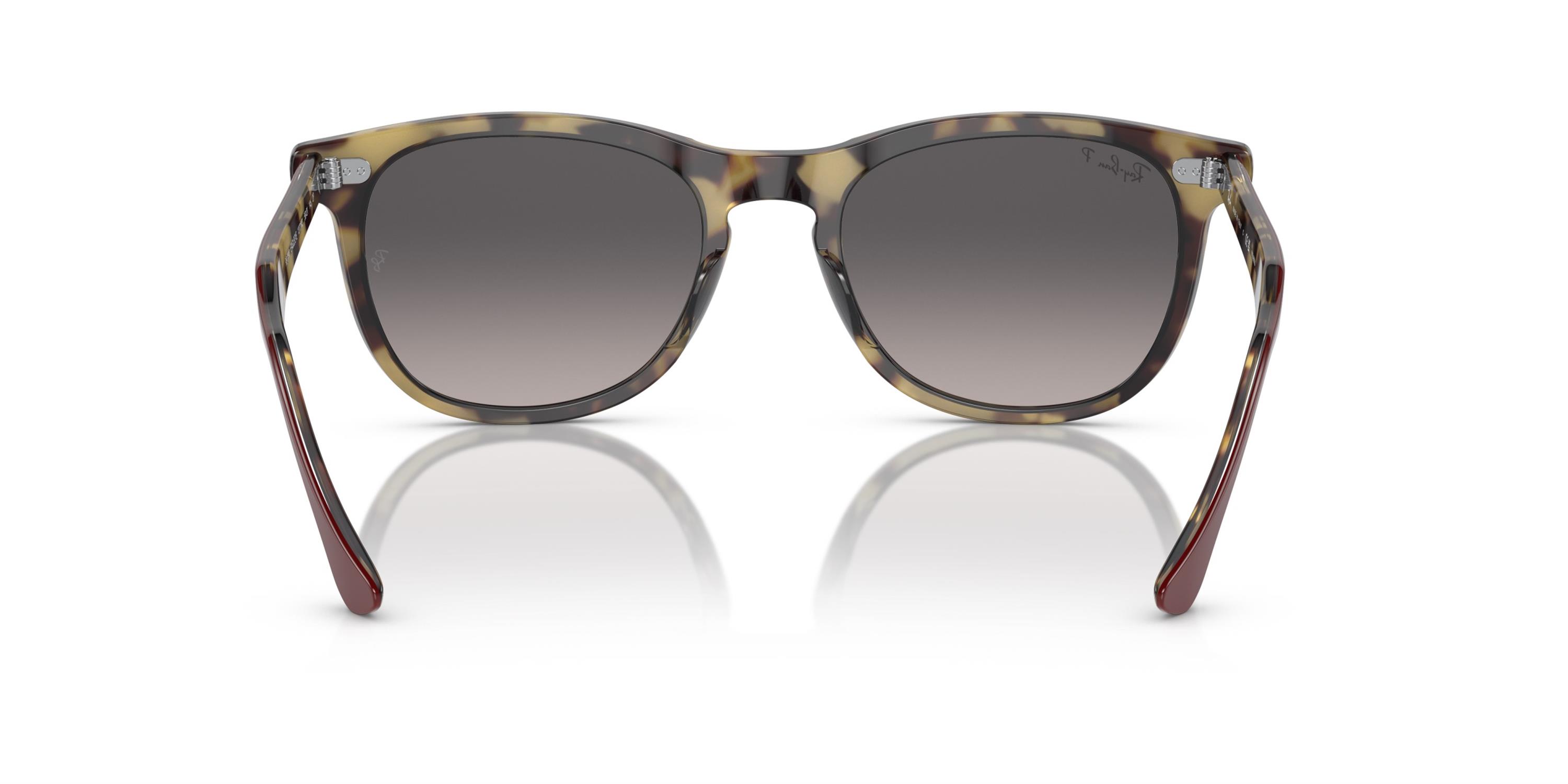RAY-BAN 0RB2398 1377M3 53