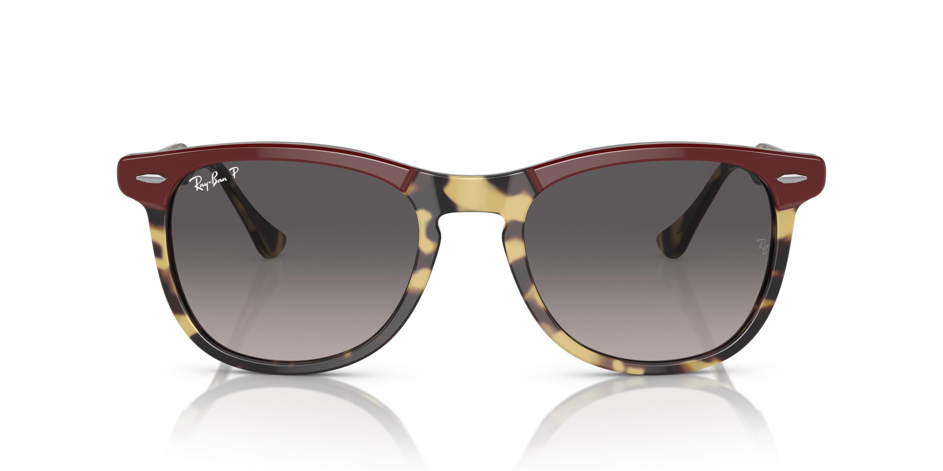 RAY-BAN 0RB2398 1377M3 53