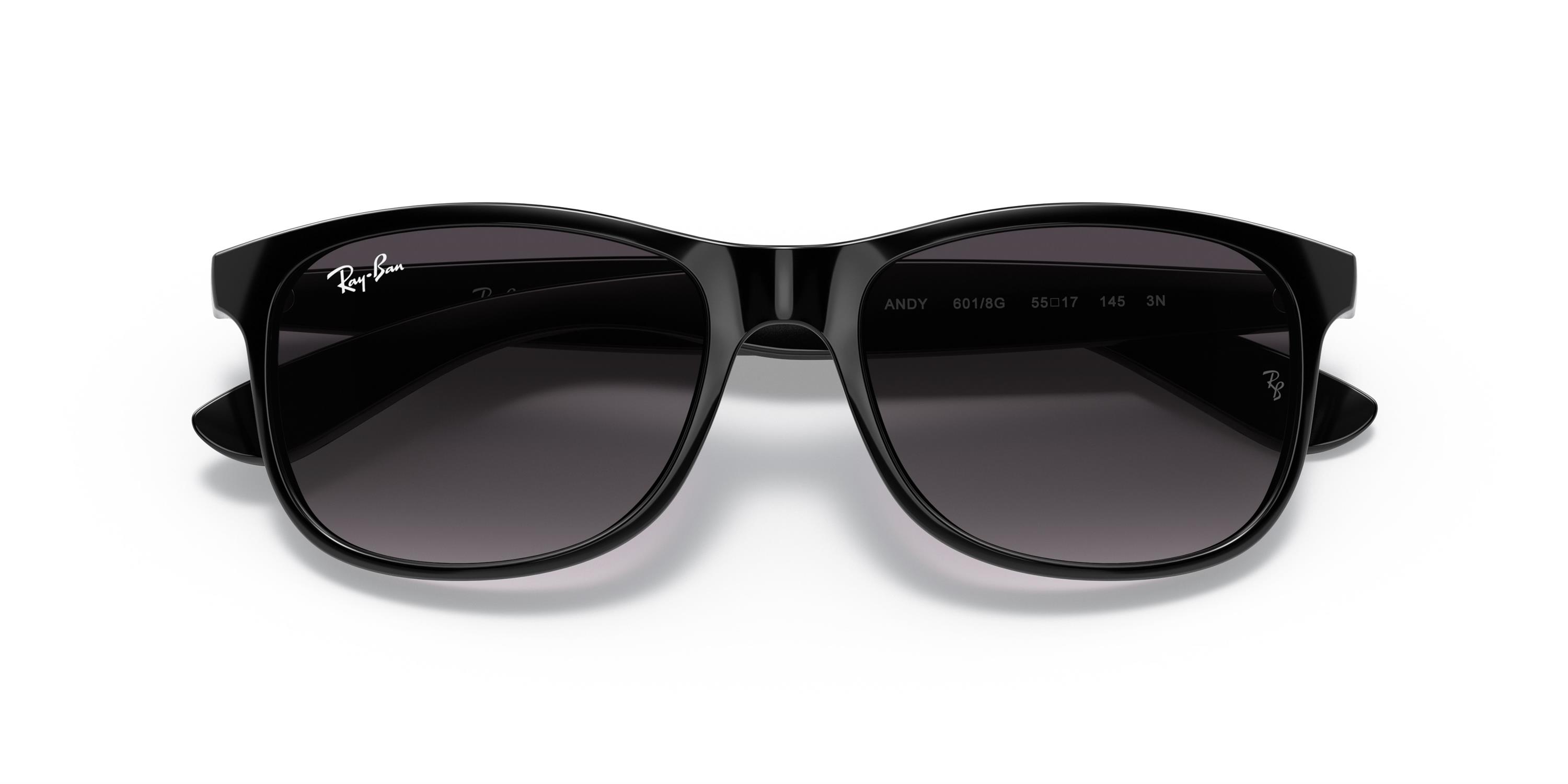 RAY-BAN 0RB4202 601-8G 55