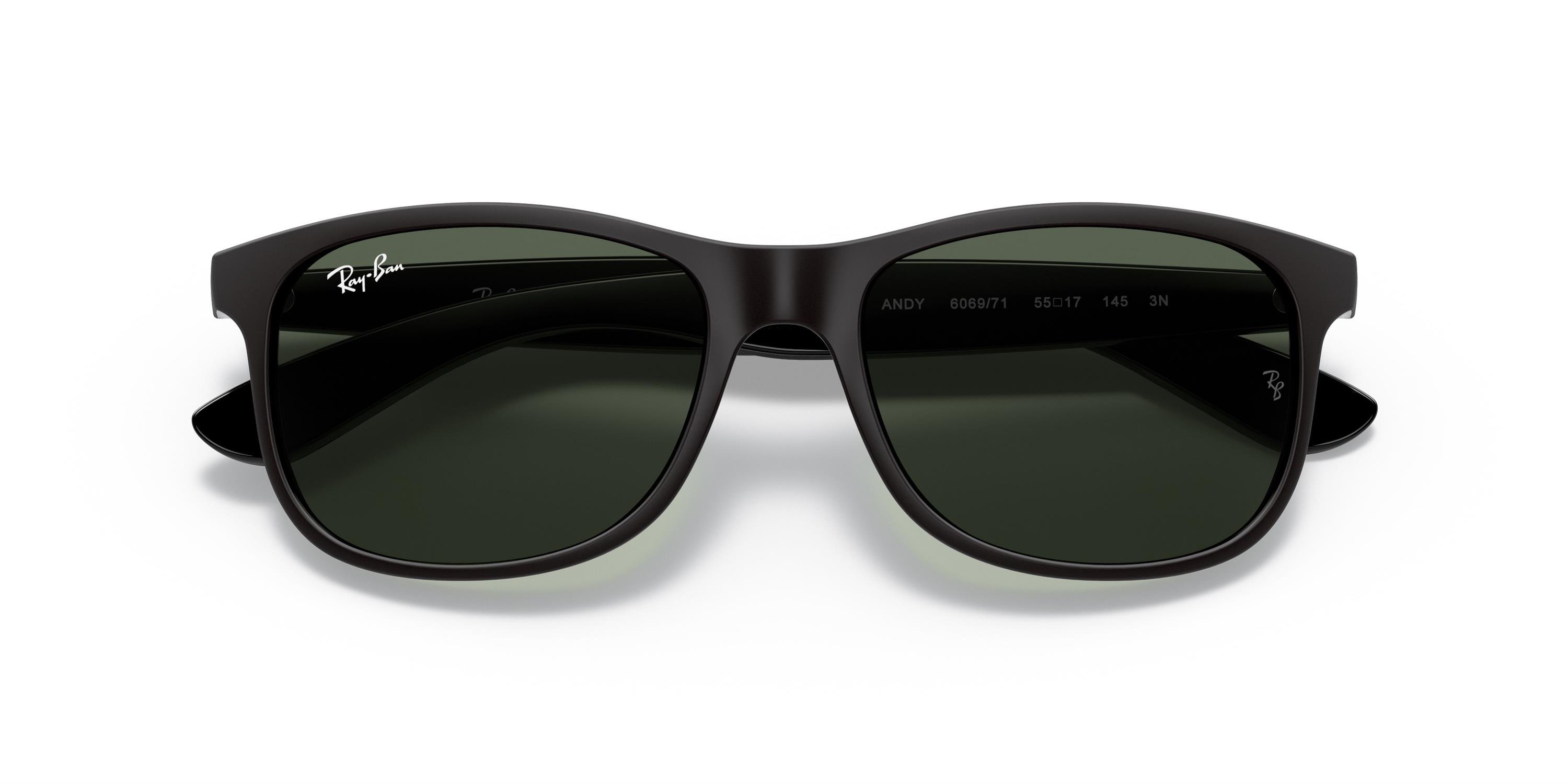 RAY-BAN 0RB4202 606971 55