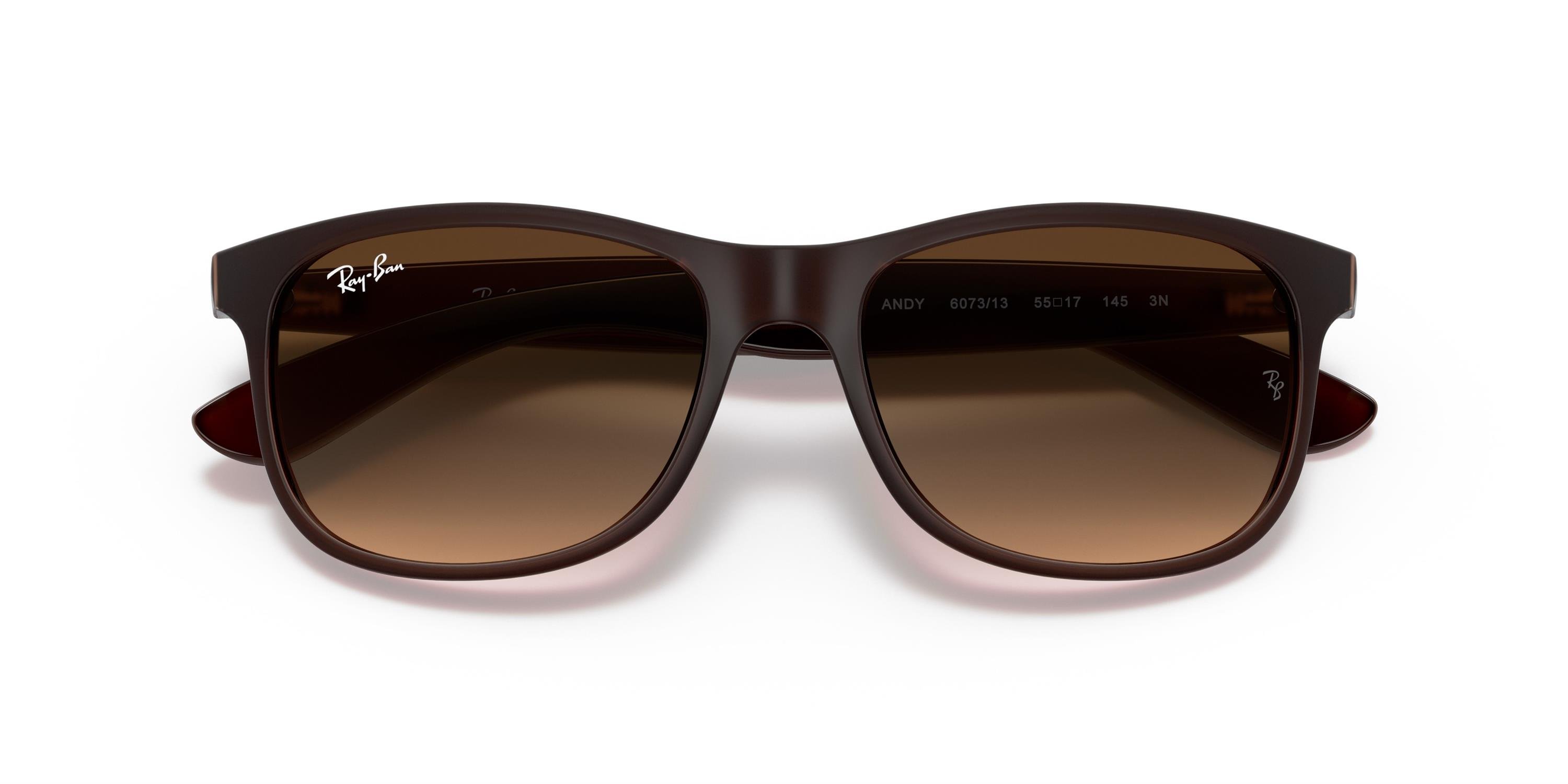 RAY-BAN 0RB4202 607313 55