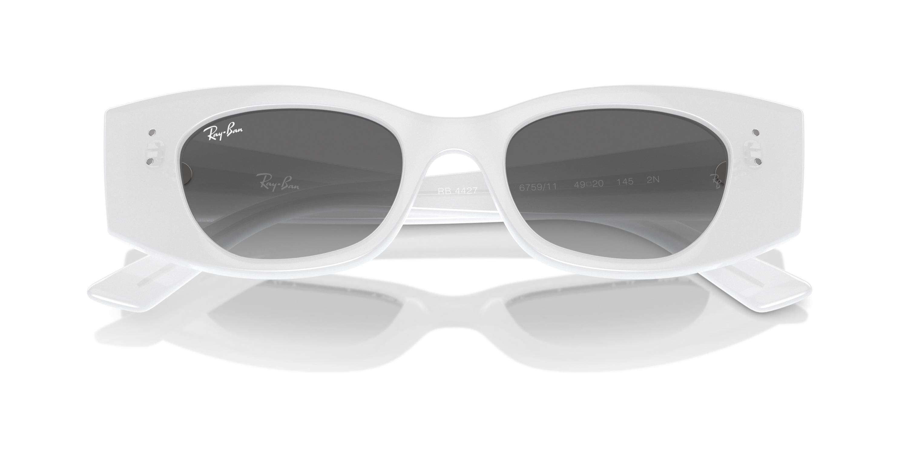 RAY-BAN 0RB4427 675911 49