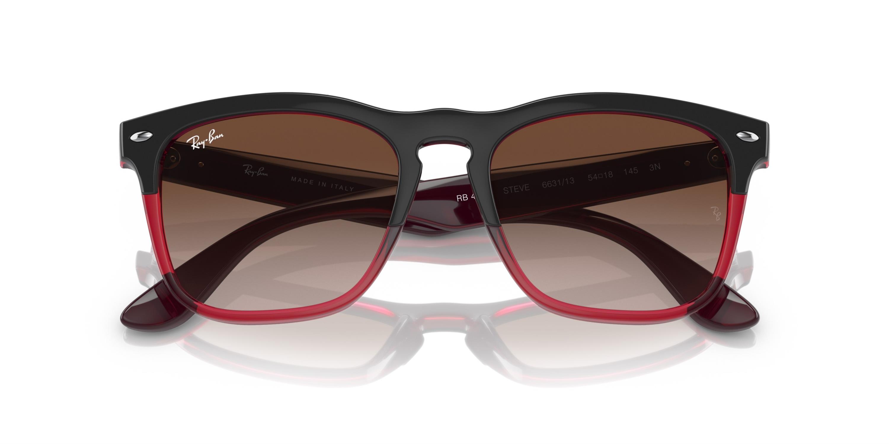 RAY-BAN 0RB4487 663113 54