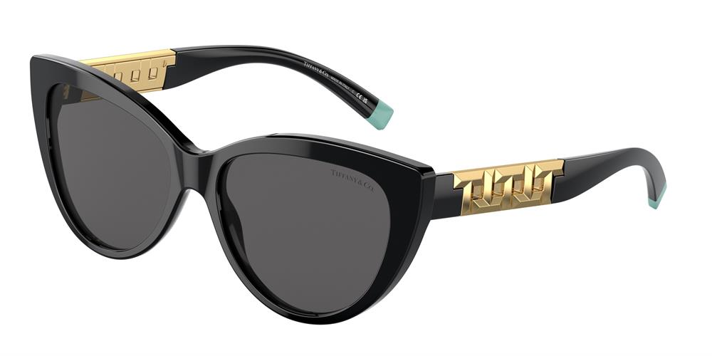 TIFFANY 0TF4196 8001S4 56