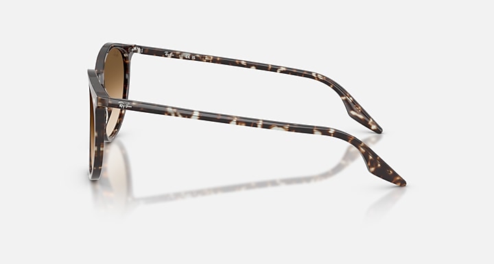 RAY-BAN 0RB2204 143151 54