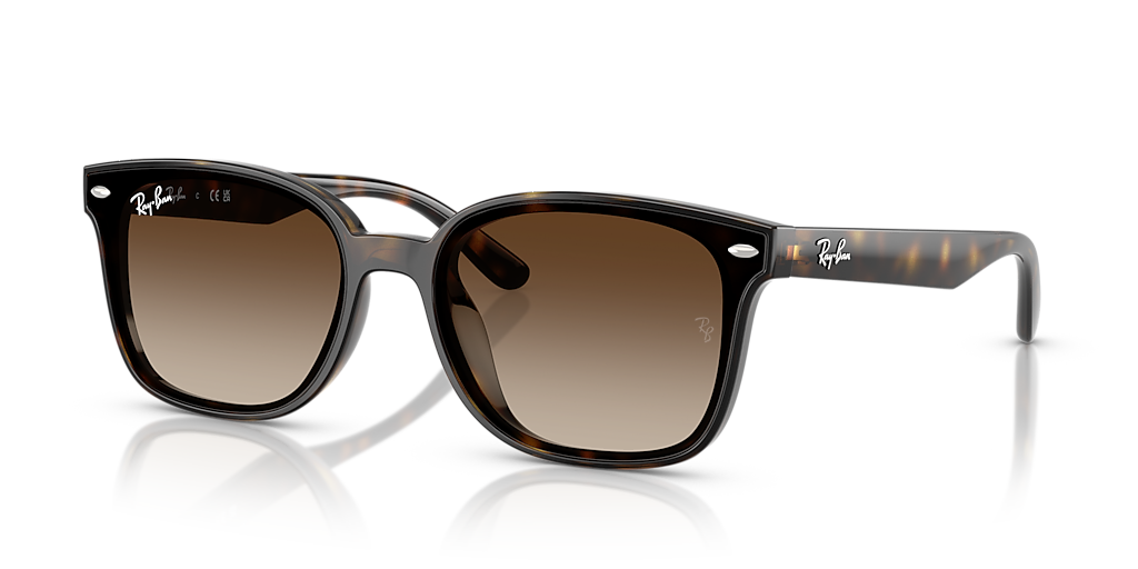 RAY-BAN 0RB4461D 710-13 64