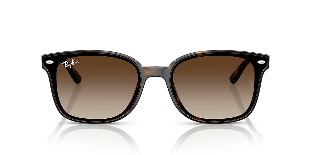 RAY-BAN 0RB4461D 710-13 64