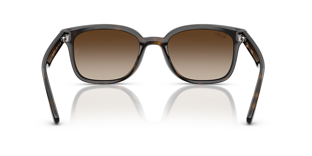 RAY-BAN 0RB4461D 710-13 64