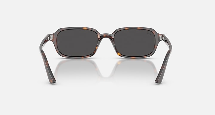 RAY-BAN 0RB4455 135987 52