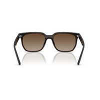 RAY-BAN 0RB4466D 714-13 47