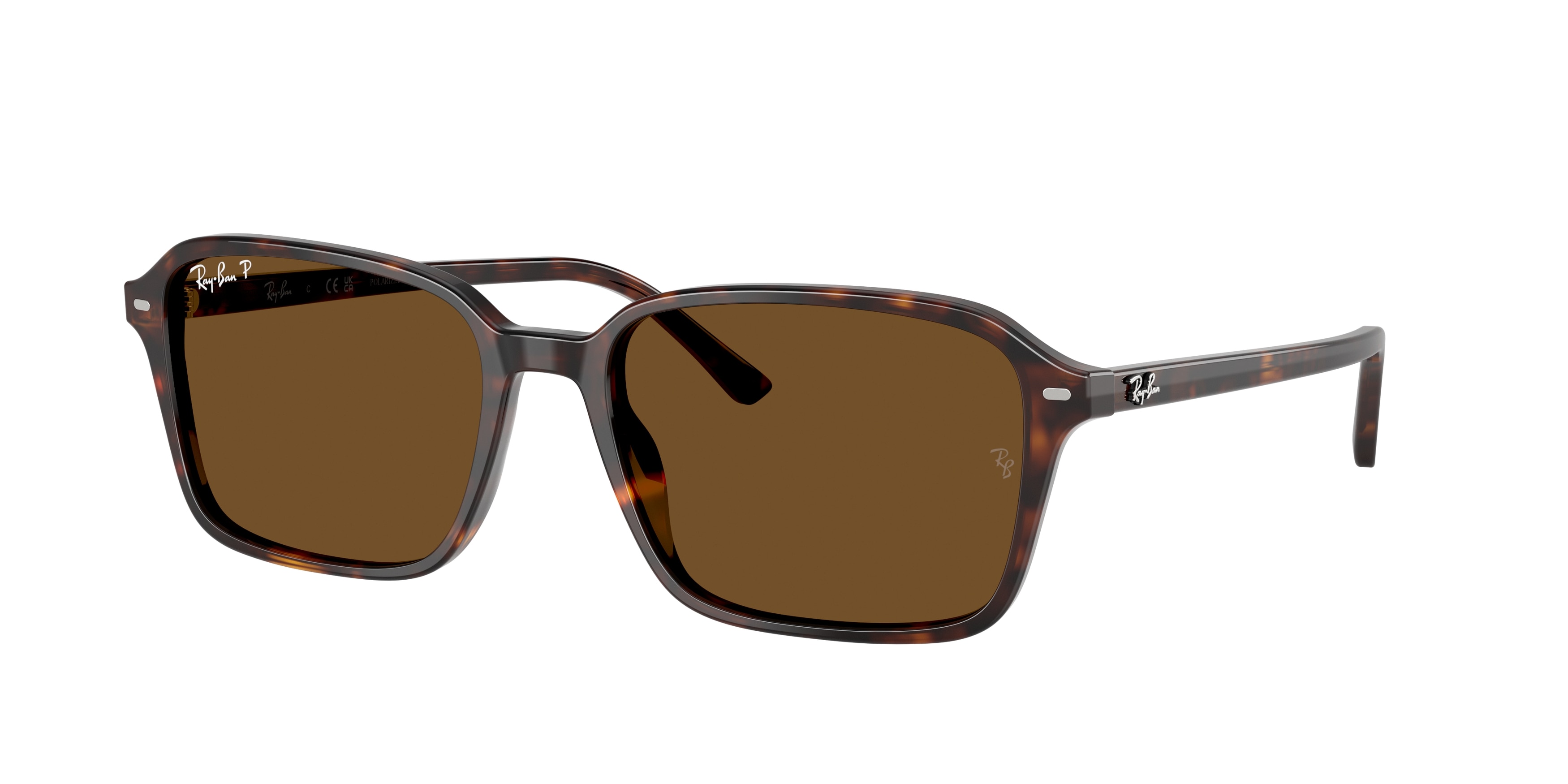 Ray-Ban RB2231 Raimond Güneş Gözlüğü 58mm