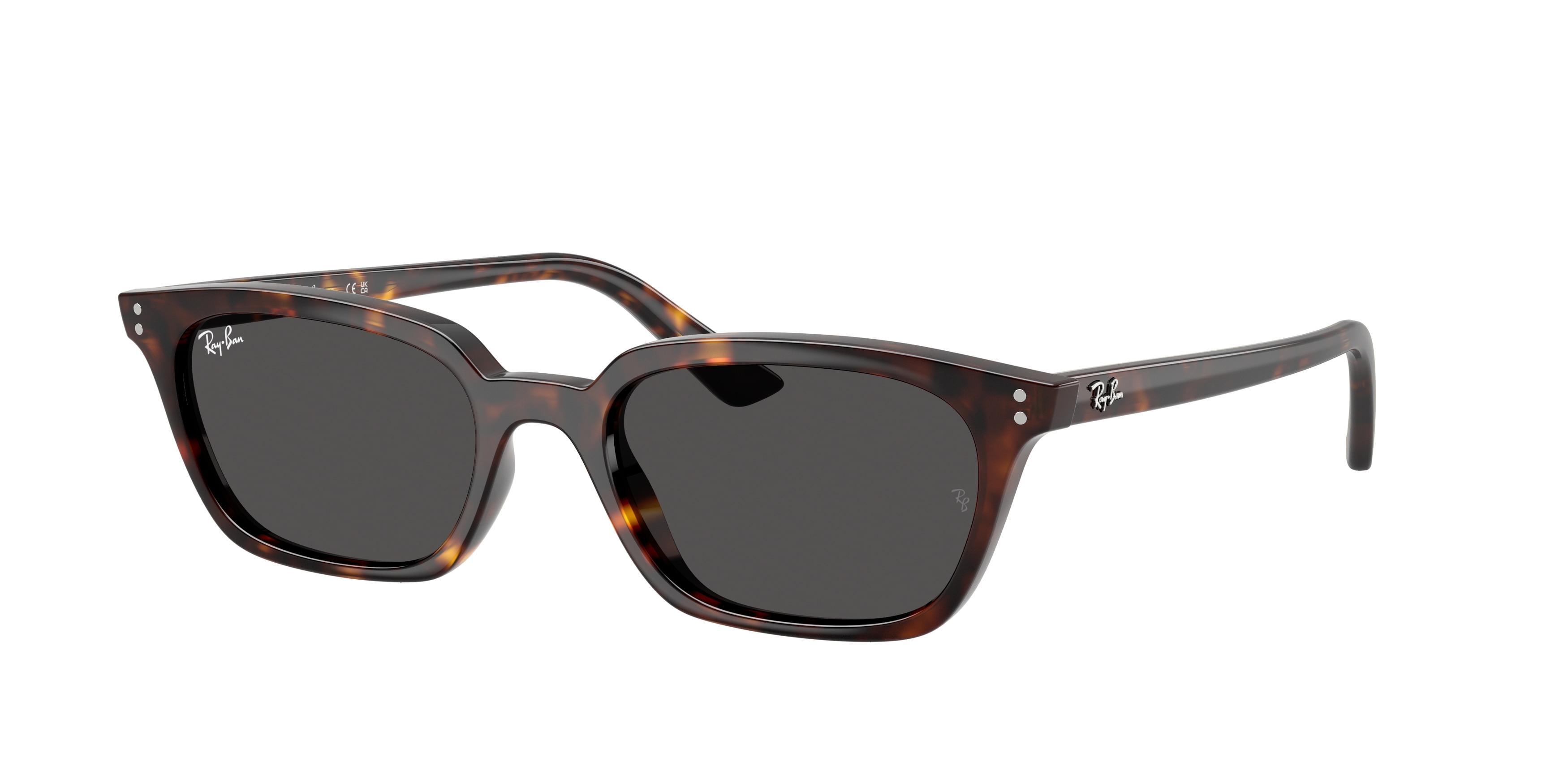 Ray-Ban RB4456 Zaya Güneş Gözlüğü 53mm